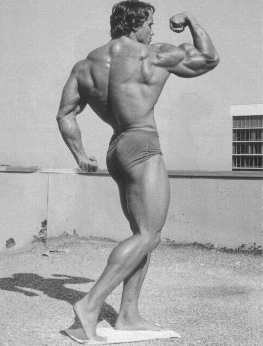 Men: Arnold Schwarzenegger Body...