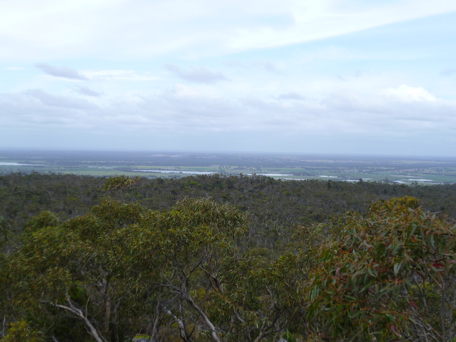 Witchwae on the Move Mount Arapiles Rock climbers heaven