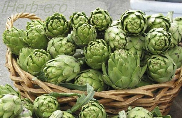 Артишок лечит Формулы Артишока от iHerb