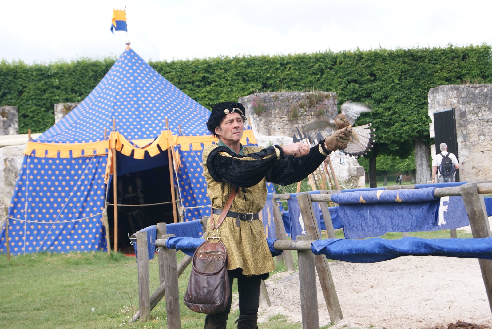 Eté 2016," le Faucon du Roy" revient à Chambord