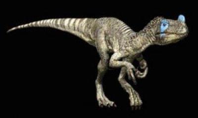 Ornitholestes