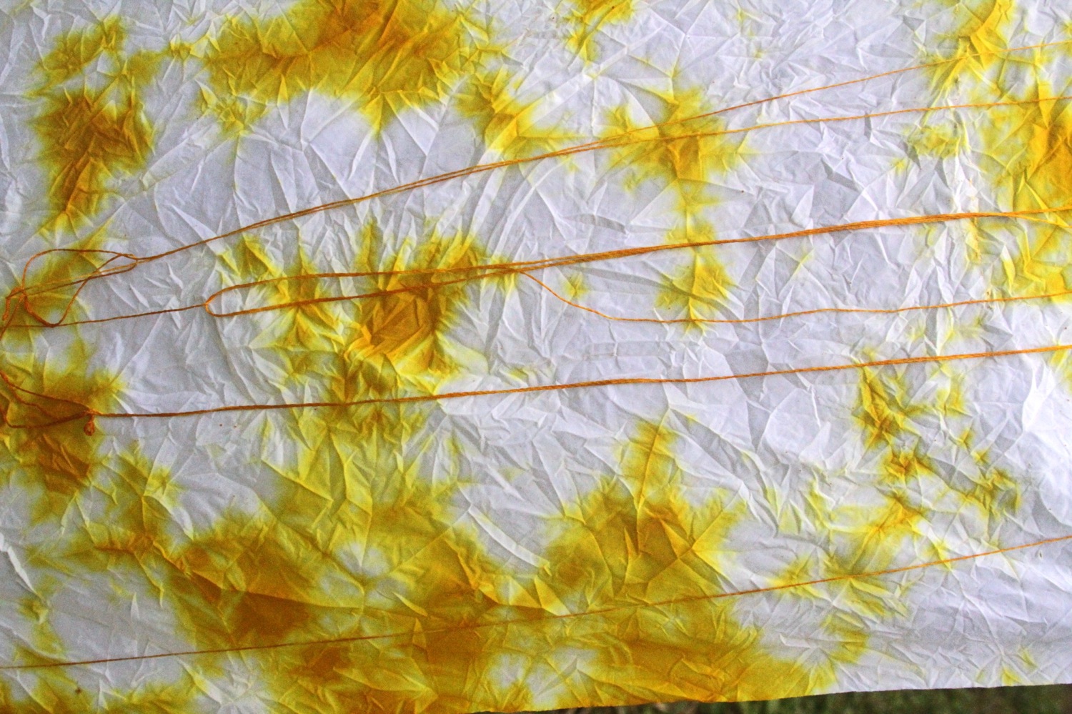 petalplum {how to} naturally dyeing fabric with turmeric