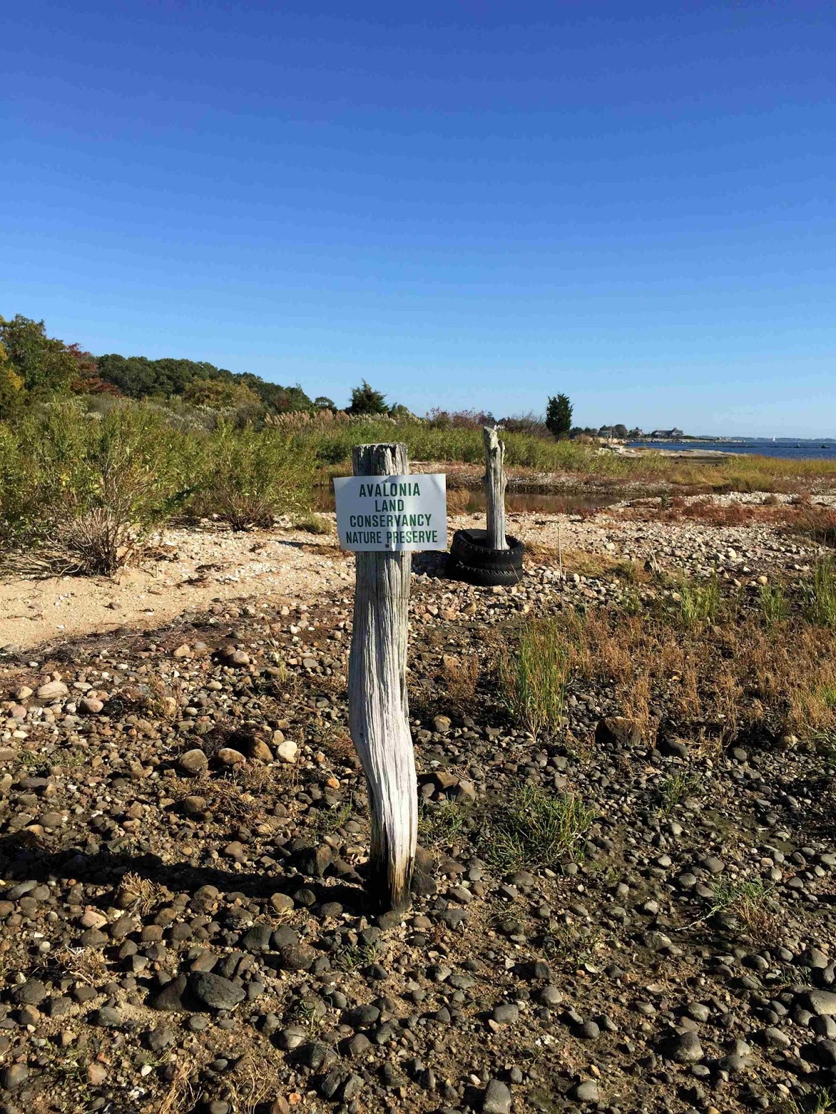Avalonia Etrails A Good Reason To Visit A New Preserve