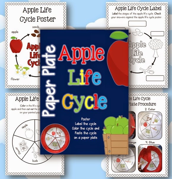 Paper Plate Apple Life Cycle Paper Plate Apple Life Cycle