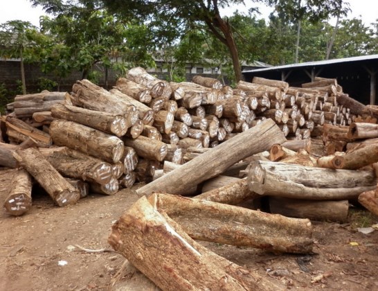 Temukan Pengertian Pengertian Bahan Baku