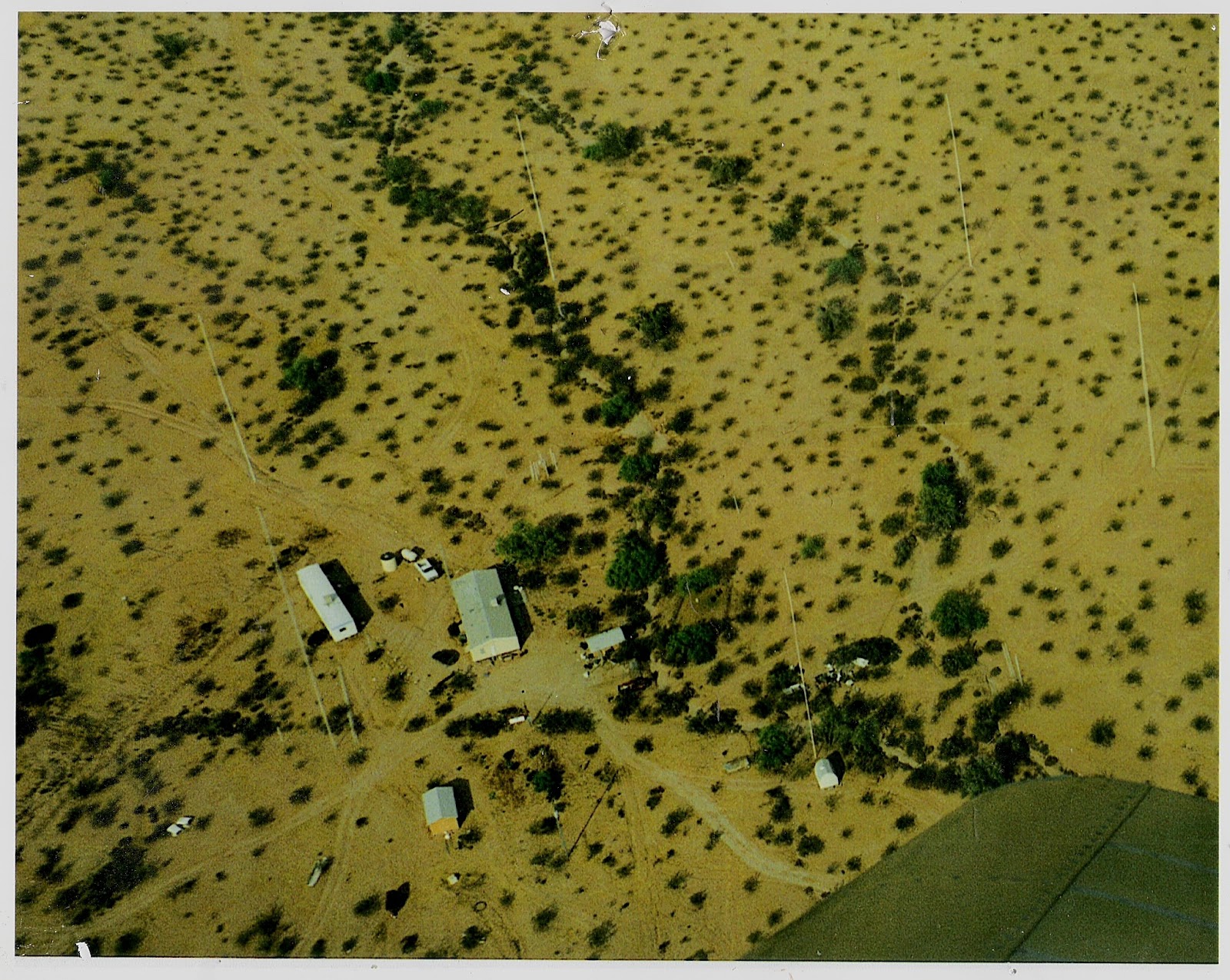 w7yrv - Roy's Antenna Farm : 20 meter sterba curtain array