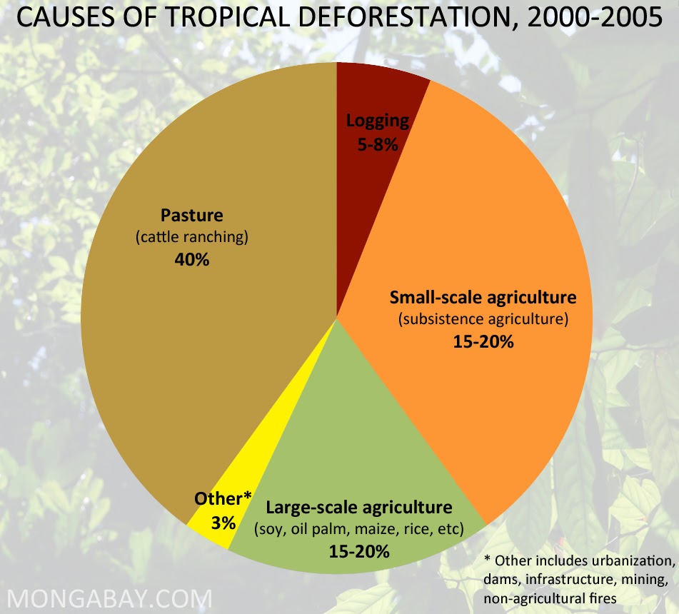 Deforestation Is Caused By Agriculture And Logging