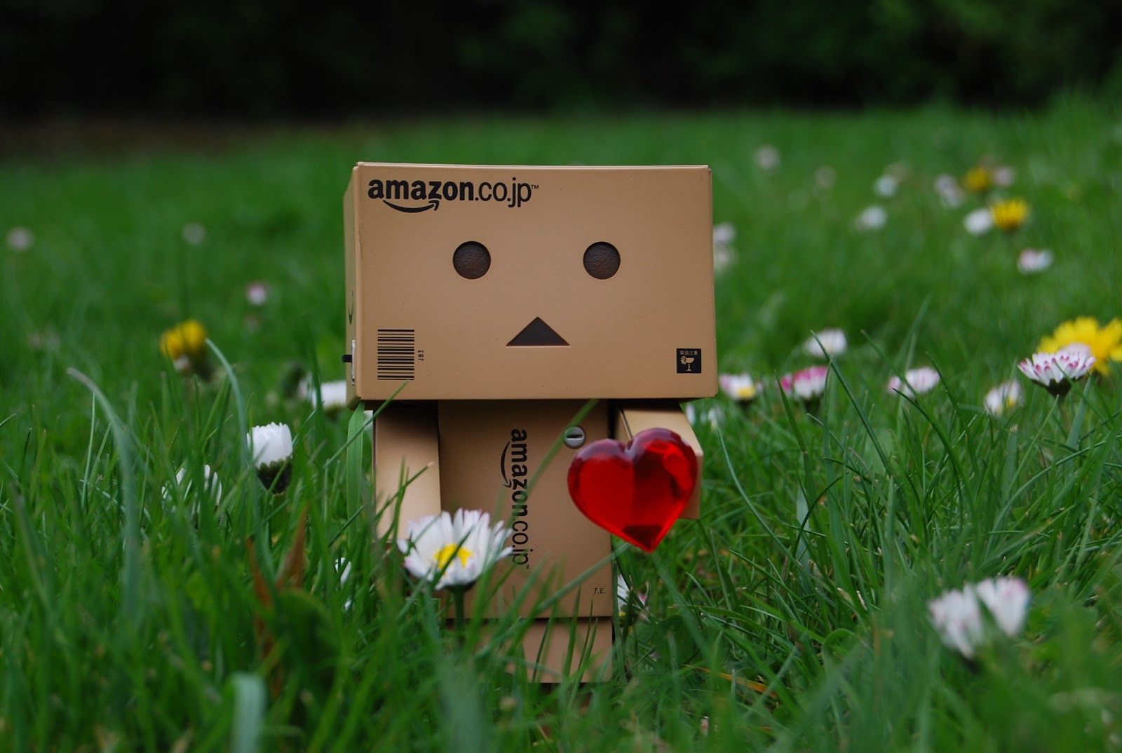 Danbo Fan Mein Danbo