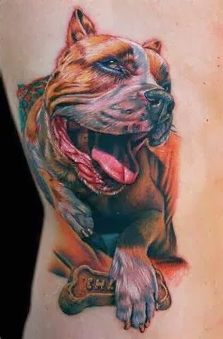 Tattoo Gallery For Men Pitbull Tattoo Design On Back For Men