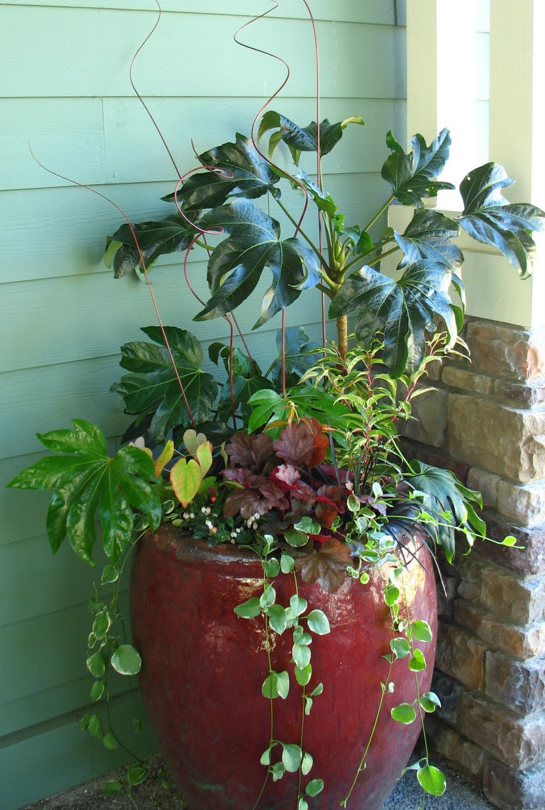 Find Some Euonymus For Your Garden