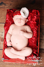Photography Rose Fabric ( Backdrop or bean bag cover )
