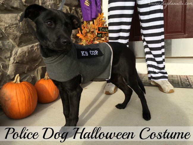 DIY Police Dog Halloween Costume DIY Police Dog Halloween Costume