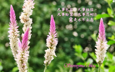 Sunnyma's Blog