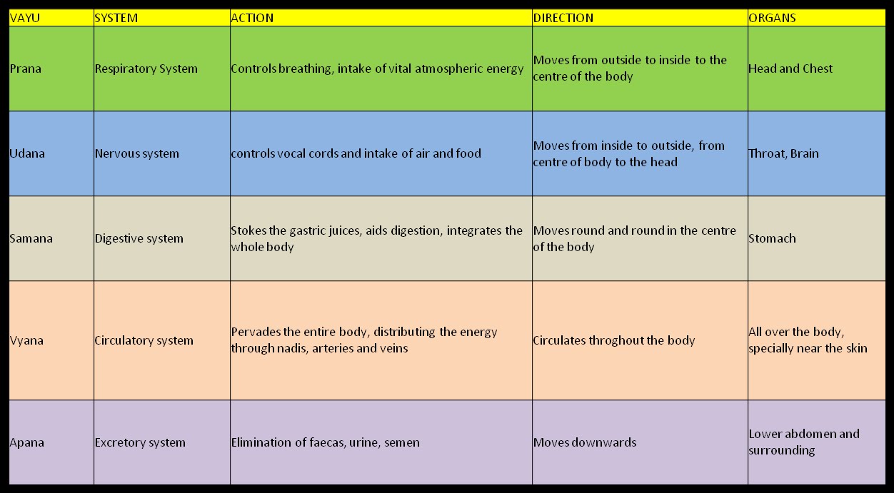 Yoga exercises Five Types Of Prana