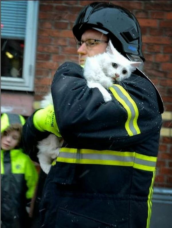 People doing amazing things for animals (28 pics), a firefighter rescued a cat