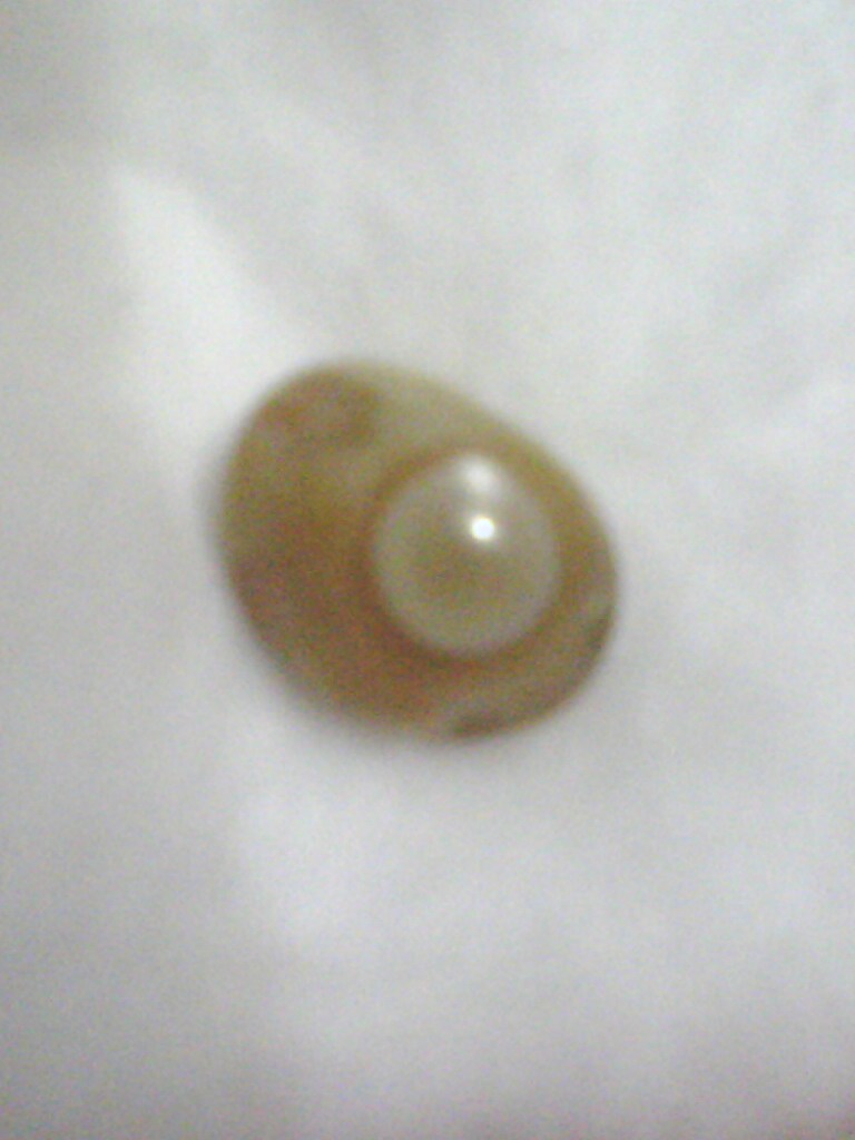 Jenis+Batu+Permata puteri 9 desa batu hijau bintang batu moonstone batu moonstone