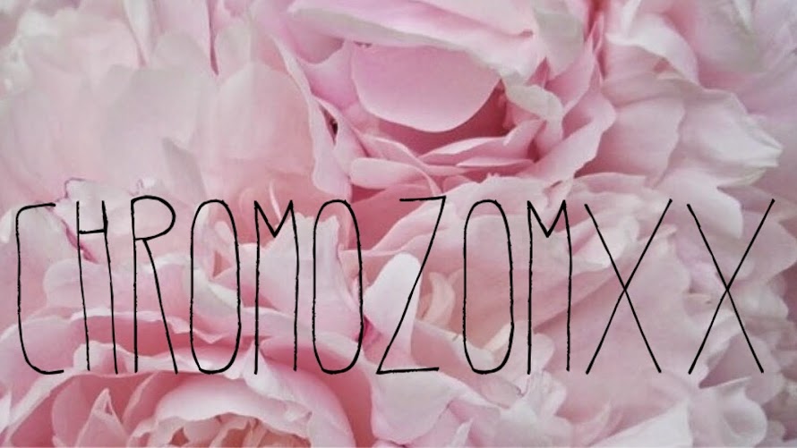  chromozomxx