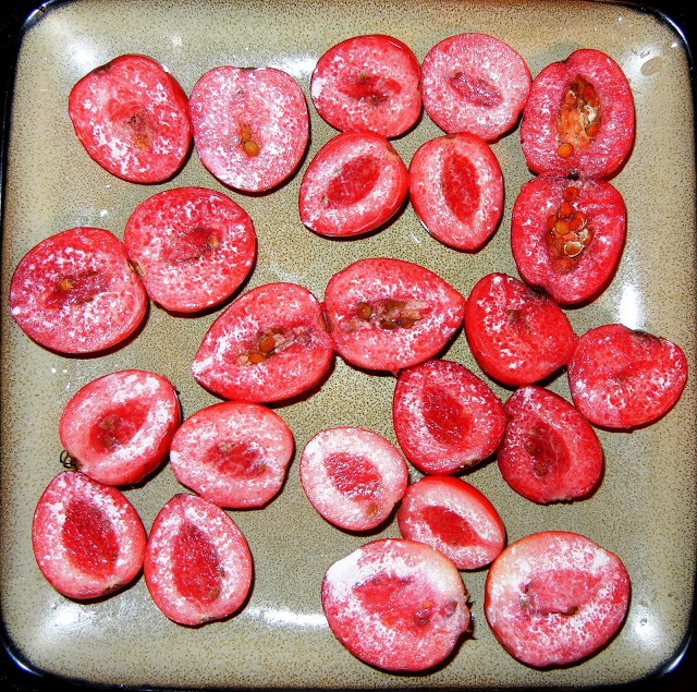 The Earth of India All About Natal Plum