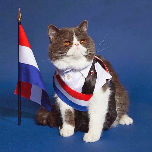 Stop and I’ll Sue! Interim Injunctions for Trade Mark Infringement in