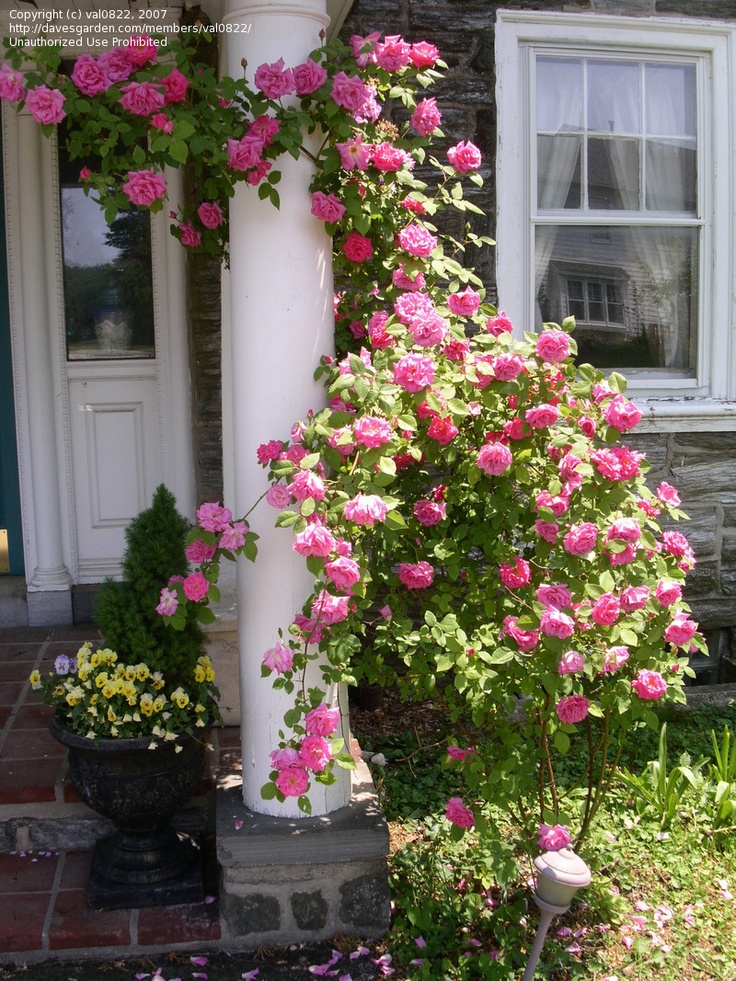 Lady Anne's Cottage: Charming Porches...