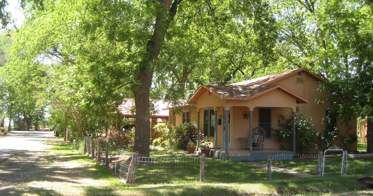 Living Rootless Tularosa, New Mexico Shade Trees and Roses