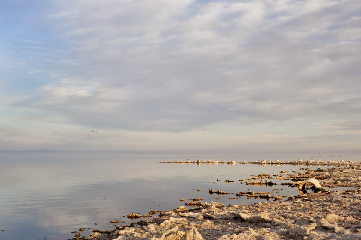 view metabolism of sulfur