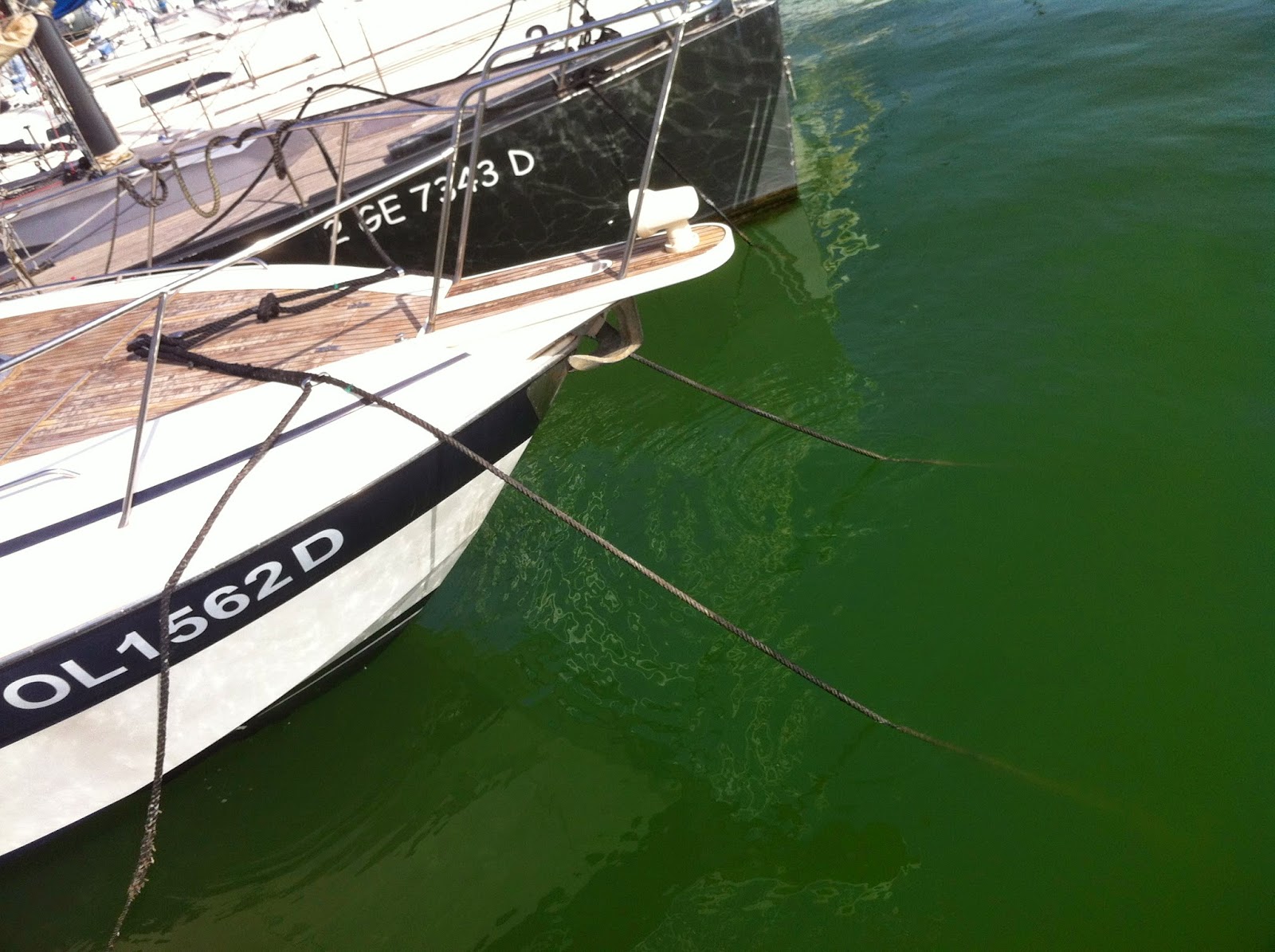 Falshator Mooring Mediterranean Style