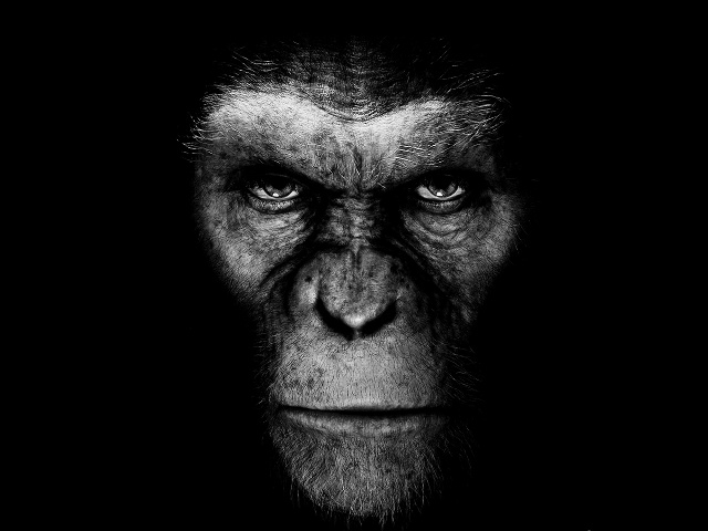 descargar chat para celular nokia c3