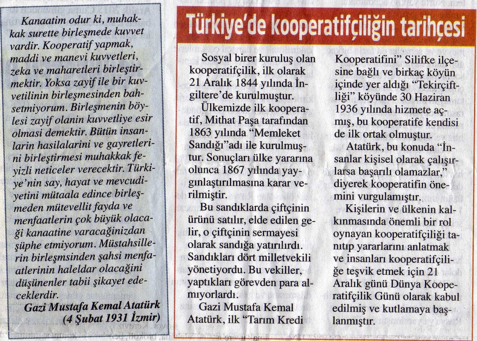 Soçi - otel derecelendirmesi: konaklama ve hizmetler 50