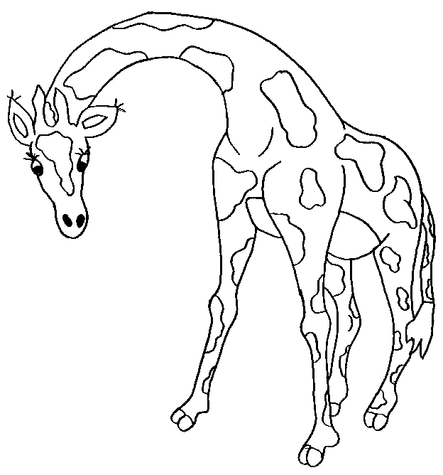 Giraffe Coloring Pages Animal Pictures