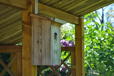 Runzelfuesschen Wochenende in Bildern Gewinnspiel Runzelfuesschen Wochenende in Bildern Gewinnspiel