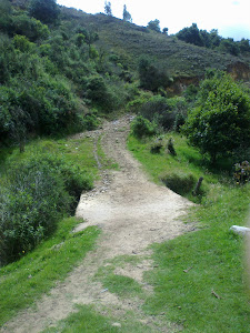 Paso sobre el puente