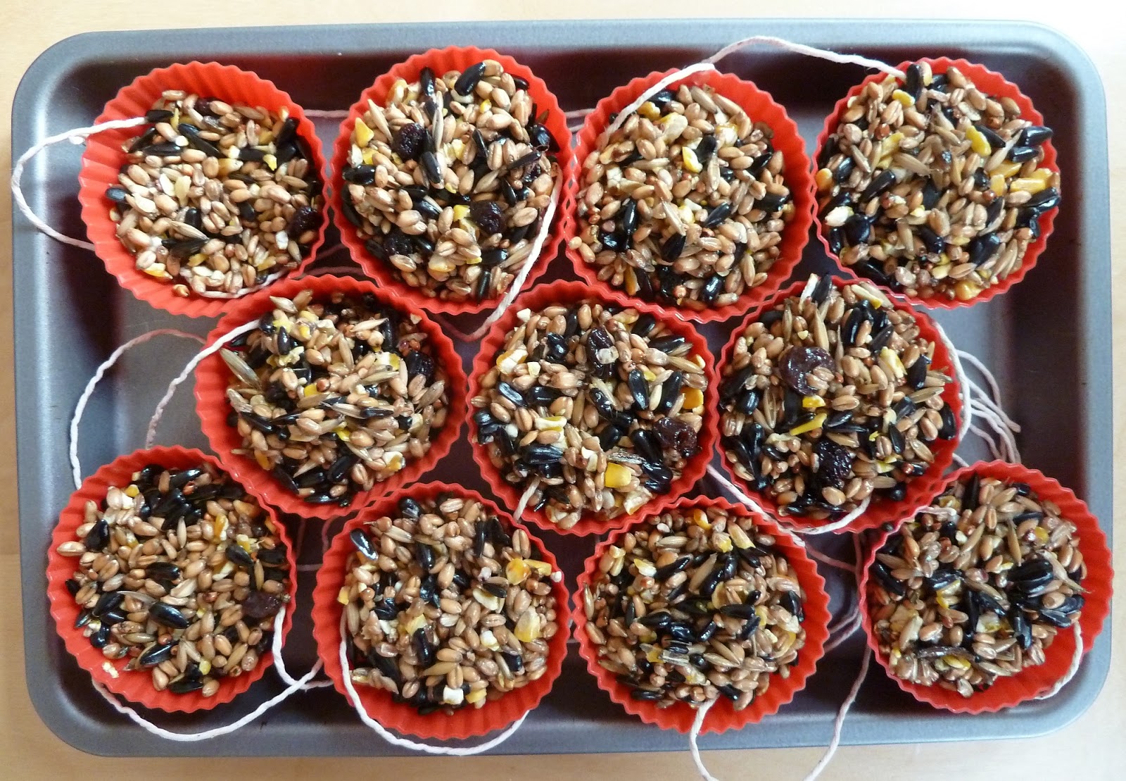 Guest Post Homemade bird seed cakes Emmy's Mummy