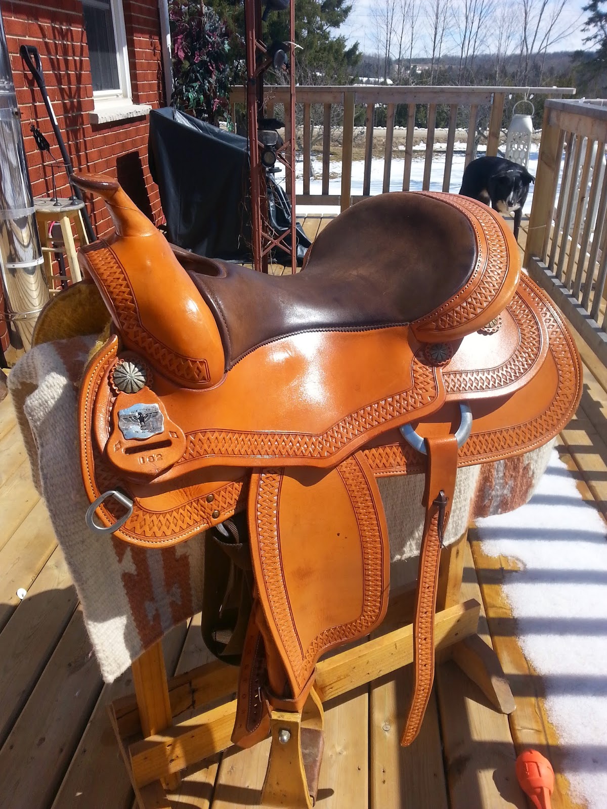 Foundation Reining Training Centre SOLD. For Sale Continental Reining