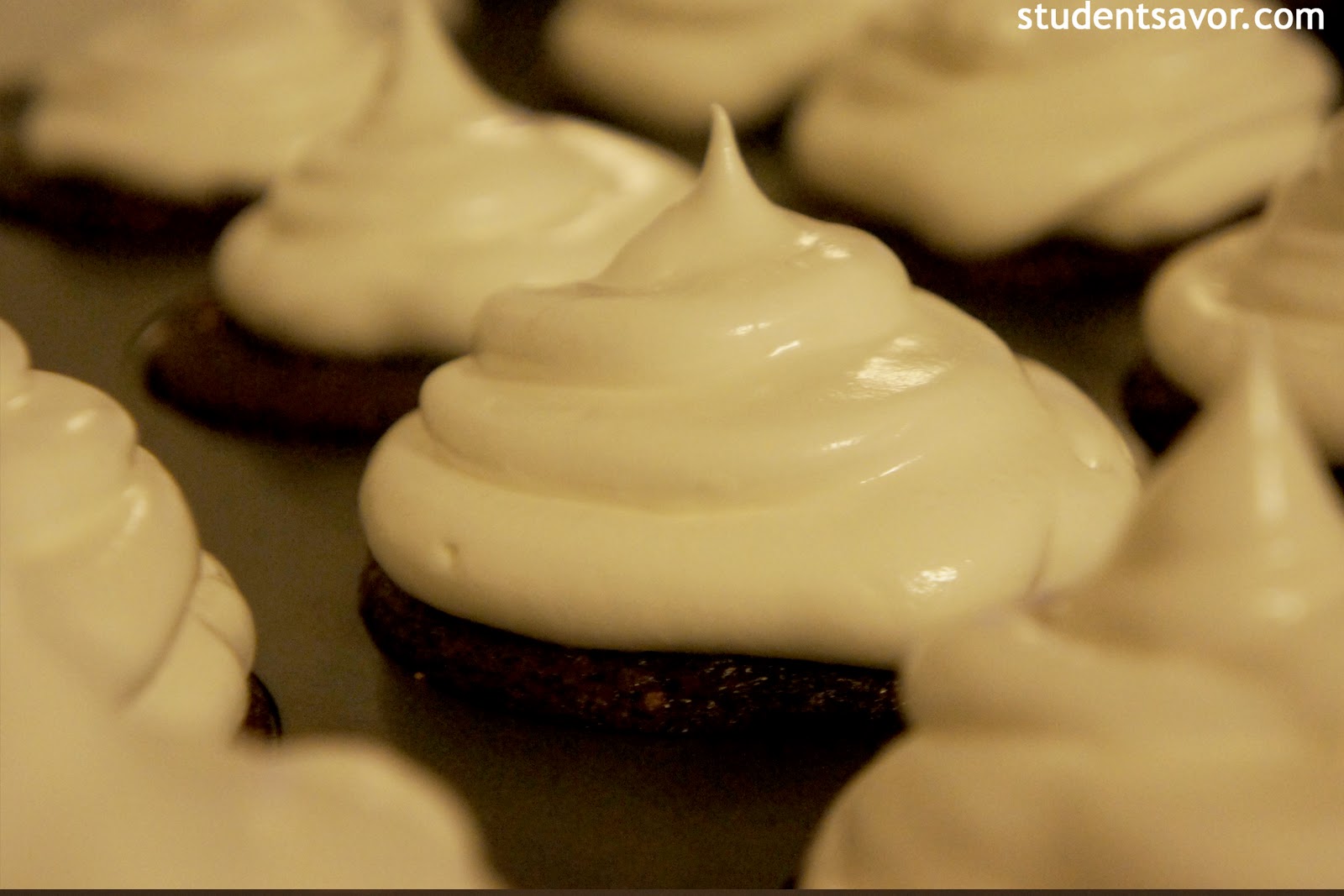 STUDENT SAVOR Cupcakes Galore