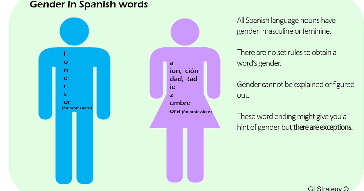 spanish gender words language masculine nouns el definite speak use examples define clues masculinity