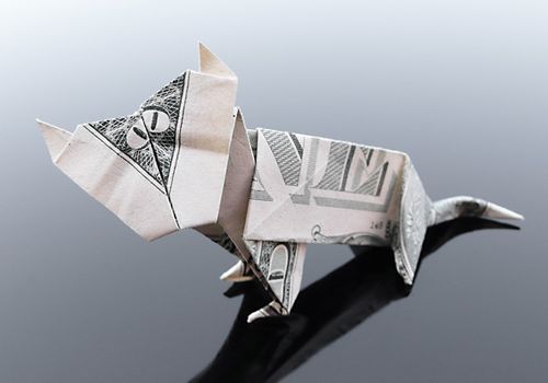 அழகிய சித்திரங்கள்  - Page 7 Dollar_origami_art_03