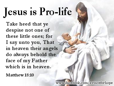 Bible Quotes From Pro Life. QuotesGram
