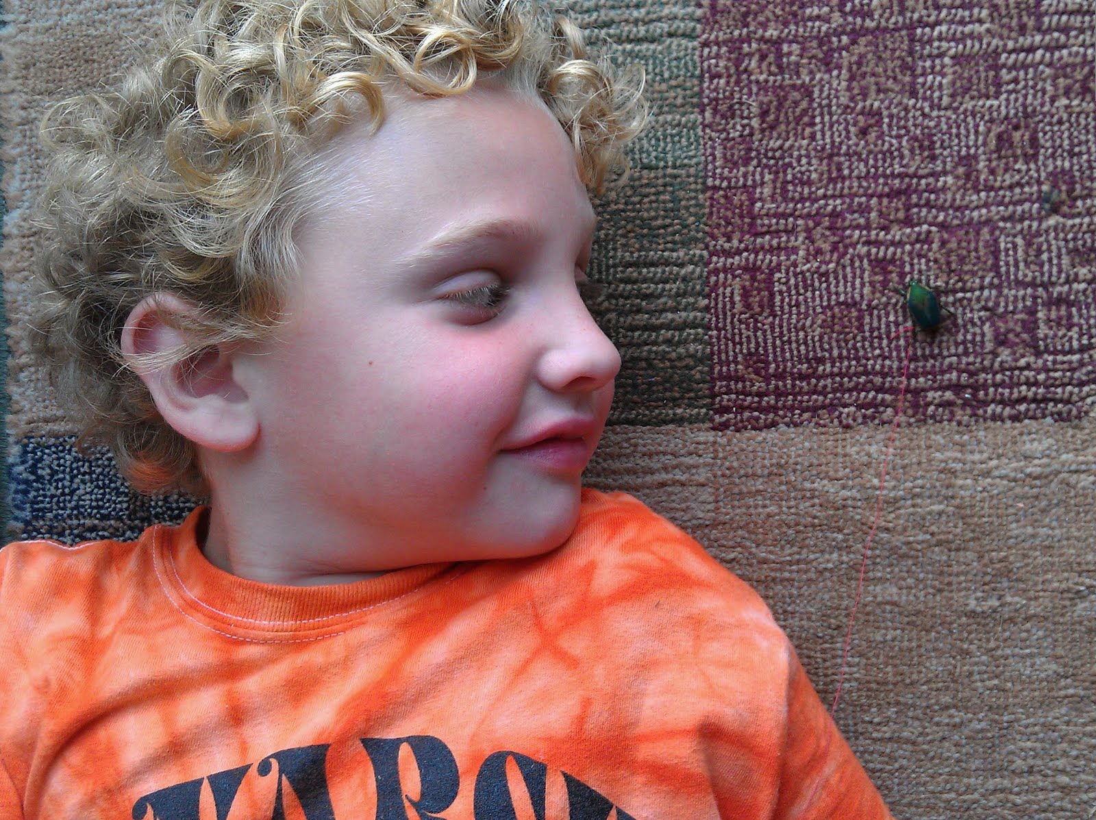 Color Of Dawn Creations June Bug On A String