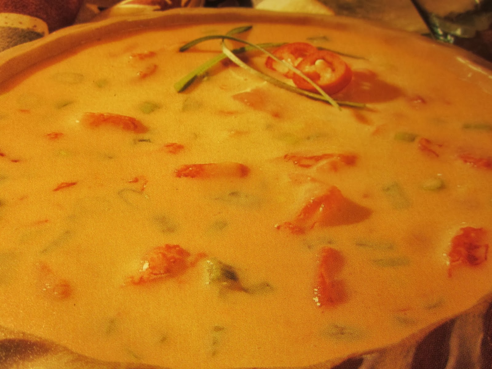 GRANDMA'S SLOW COOKER RECIPES YUMMY CHILI CON QUESO