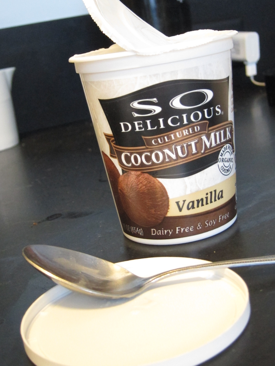 The Oatmeal Artist Yogurt Oatmeal