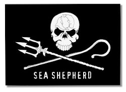 Support Sea Shepherd