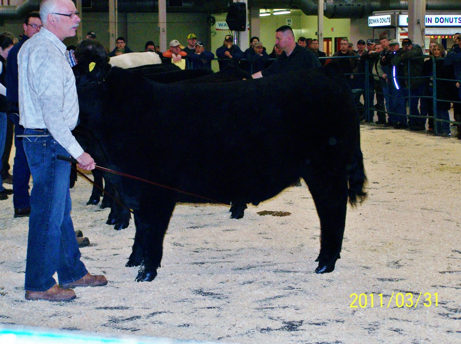 From Duncan Livestock (Canada) Matt Lautner Cattle