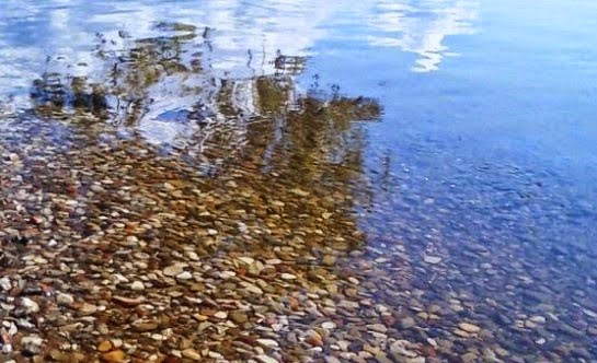 Φιλοζωικός Φθιώτιδας:”Να διερευνηθεί το θέμα με τις νεκρές καρέτα καρέτα στην περιοχή της Στυλίδας” Φιλοζωικός Φθιώτιδας:”Να διερευνηθεί το θέμα με τις νεκρές καρέτα καρέτα στην περιοχή της Στυλίδας”