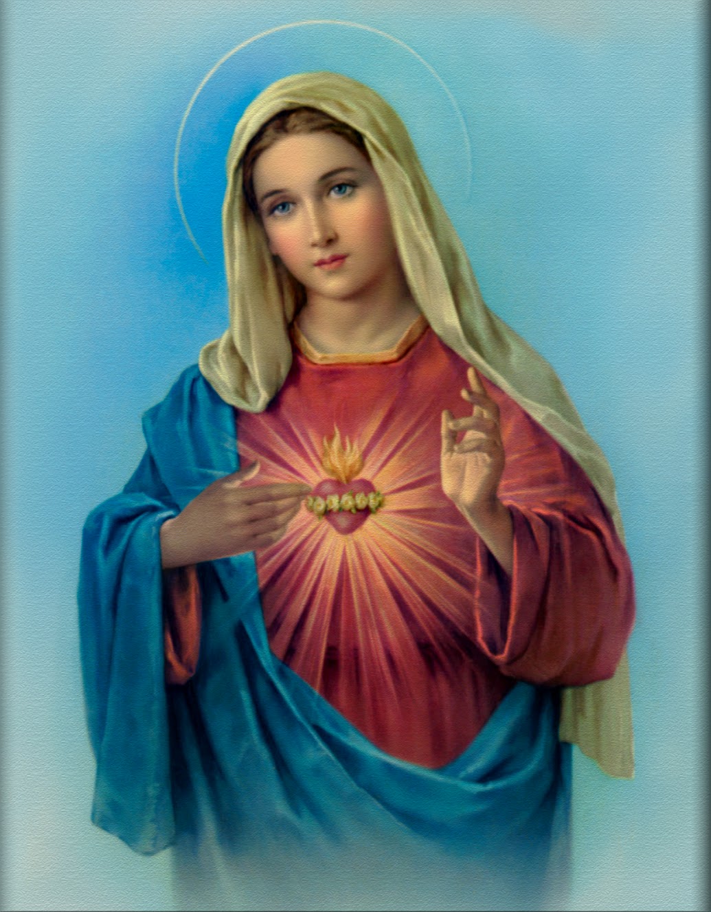 Catholic Fire: Feast of the Immaculate Heart of Mary