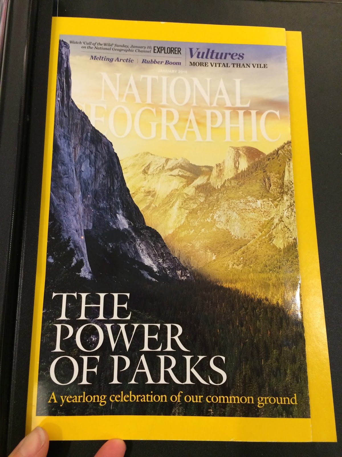 2016 marks the 100th anniversary of our national park service and i am delighted to see our parks getting some press writer and environmentalist wallace 2016 marks the 100th anniversary of our national park service and i am delighted to see our parks getting some press writer and environmentalist wallace