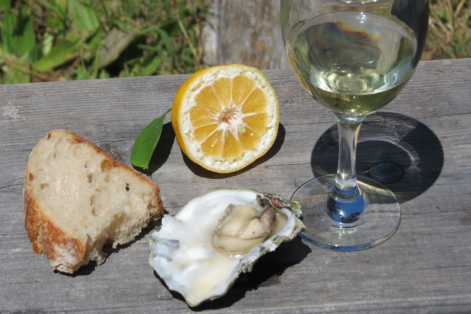 Dinner with the Welches Grilled Oysters on Tomales Bay... A Perfect Day