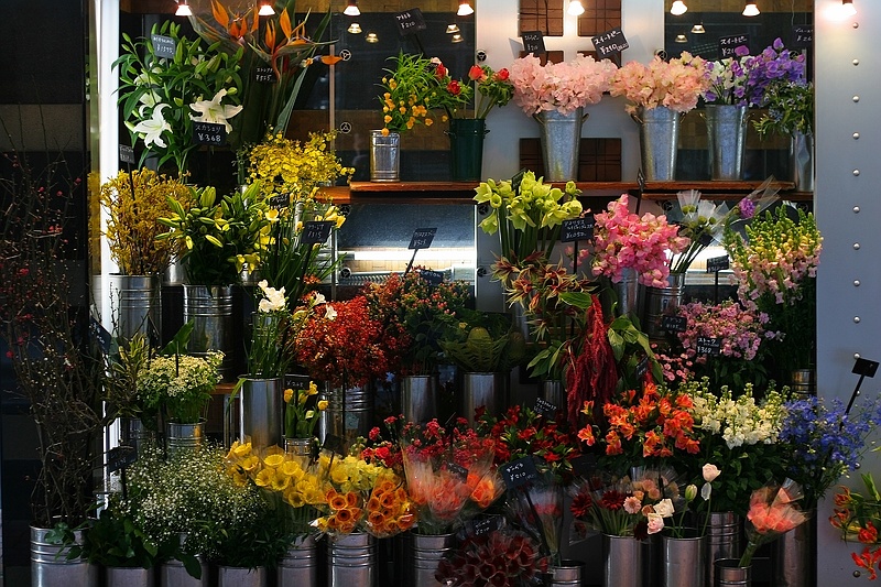 Flower Shop Pics