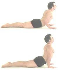 Pose Bhujangasana (alias Cobra Pose) Pose Bhujangasana (alias Cobra Pose)