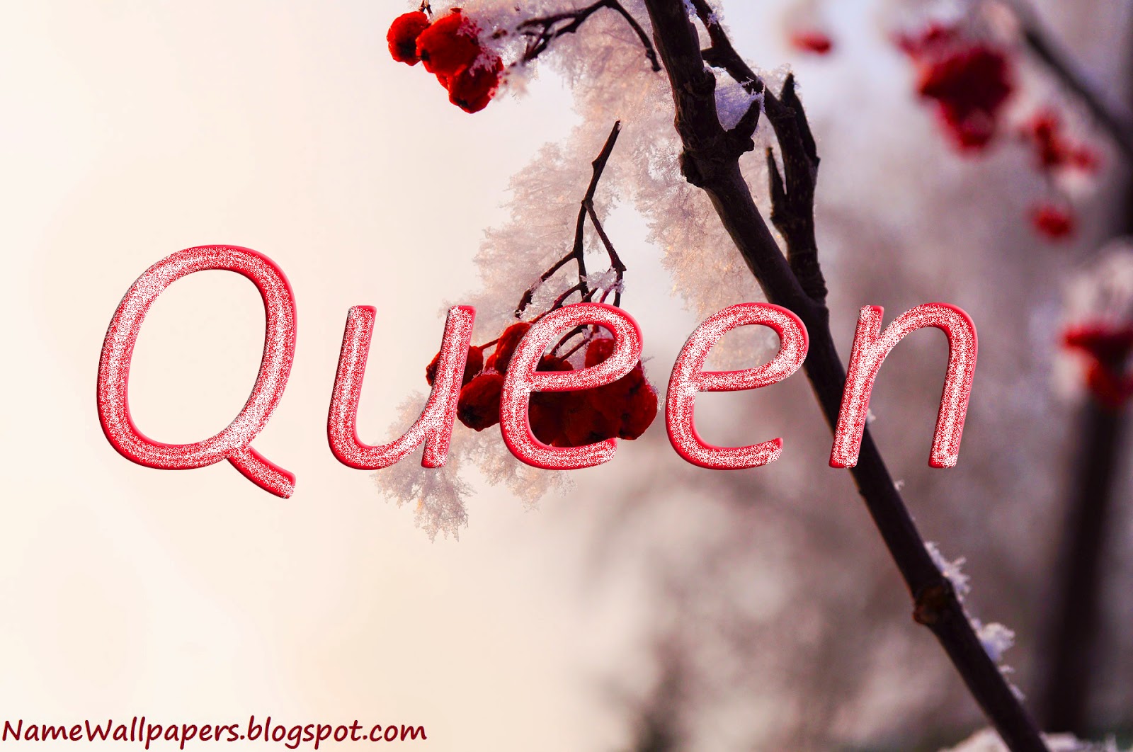 Queen Name Wallpapers Queen ~ Name Wallpaper Urdu Name Meaning ...
